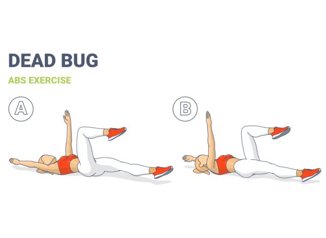 illustration of dead bug exercise, lower-belly strength workout